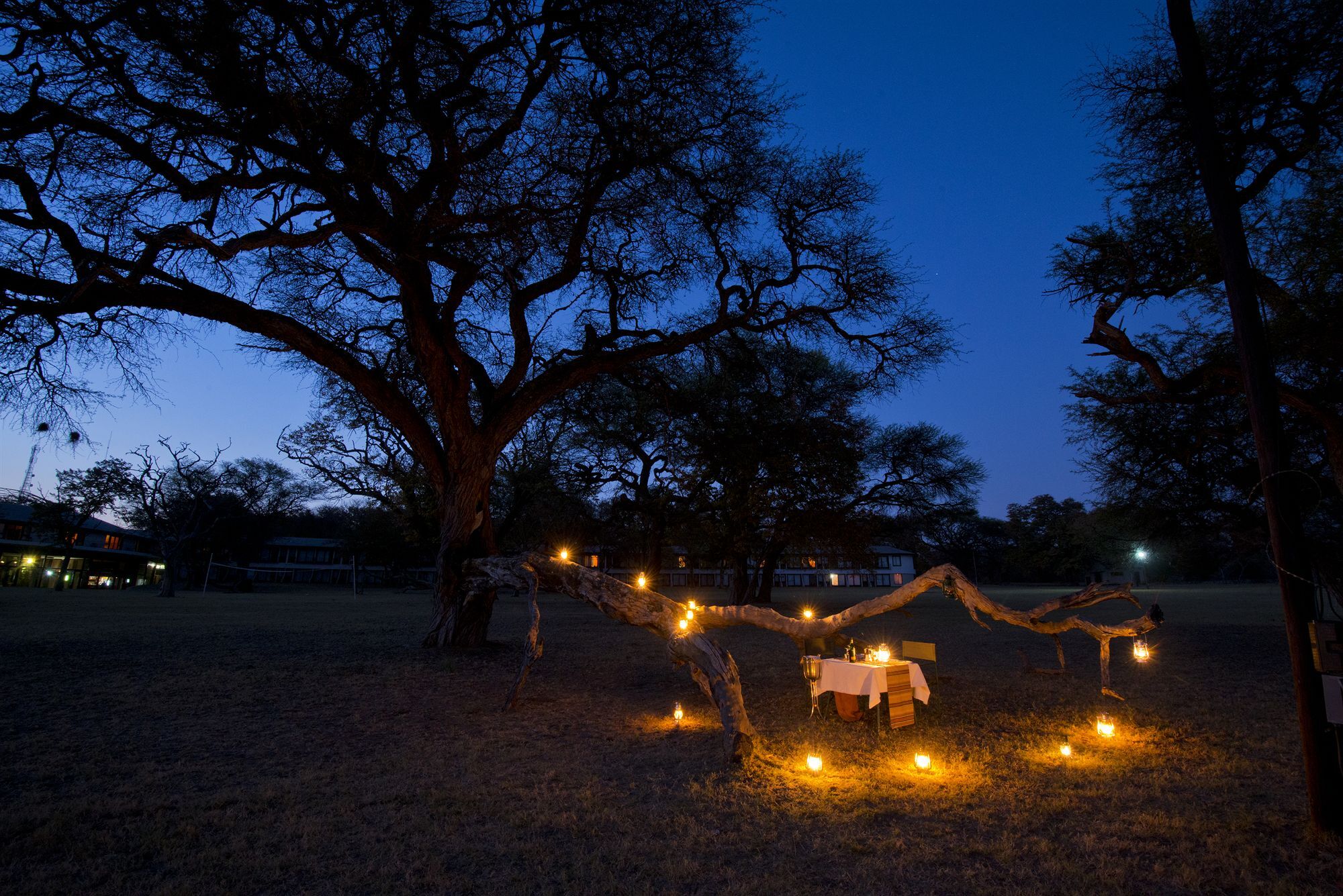 Hwange Safari Lodge Dete Esterno foto